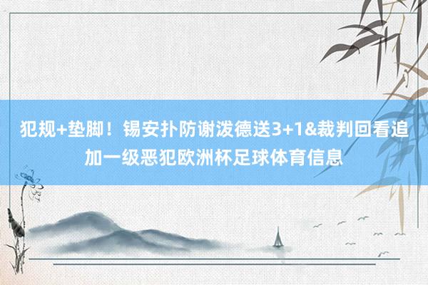 犯规+垫脚！锡安扑防谢泼德送3+1&裁判回看追加一级恶犯欧洲杯足球体育信息