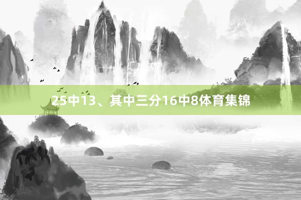 25中13、其中三分16中8体育集锦