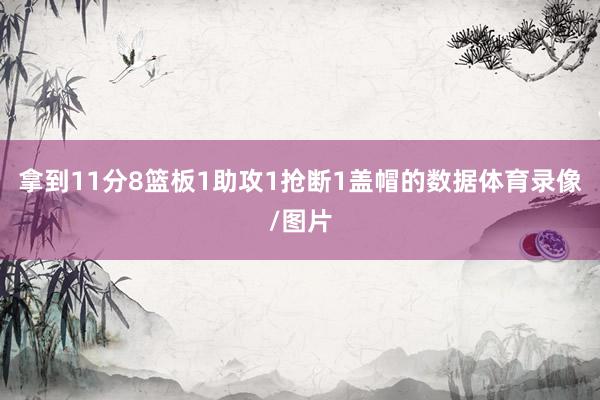 拿到11分8篮板1助攻1抢断1盖帽的数据体育录像/图片