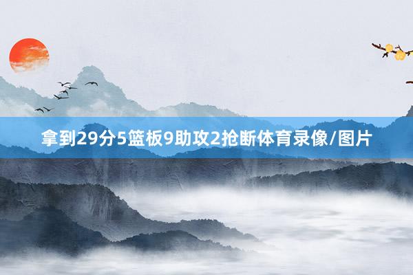 拿到29分5篮板9助攻2抢断体育录像/图片