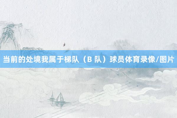 当前的处境我属于梯队（B 队）球员体育录像/图片