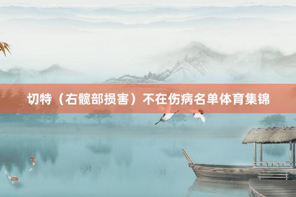 切特（右髋部损害）不在伤病名单体育集锦