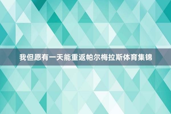 我但愿有一天能重返帕尔梅拉斯体育集锦