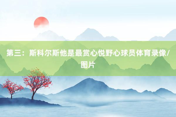 第三：斯科尔斯他是最赏心悦野心球员体育录像/图片