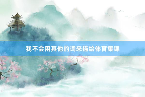 我不会用其他的词来描绘体育集锦