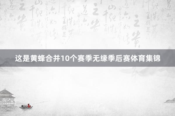 这是黄蜂合并10个赛季无缘季后赛体育集锦