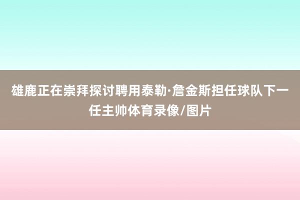 雄鹿正在崇拜探讨聘用泰勒·詹金斯担任球队下一任主帅体育录像/图片