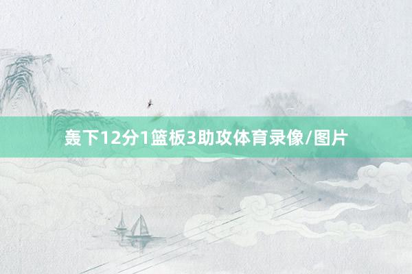 轰下12分1篮板3助攻体育录像/图片