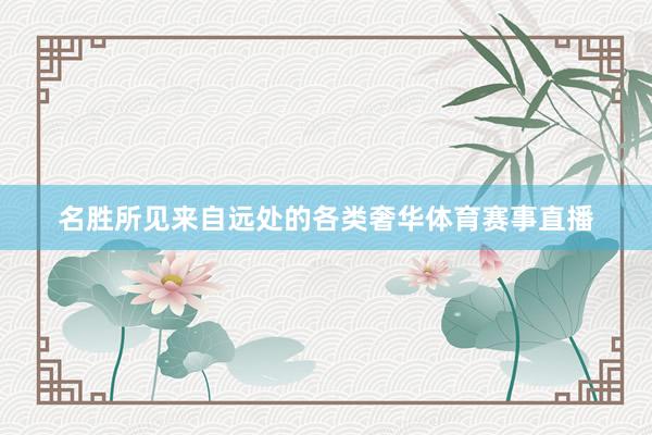名胜所见来自远处的各类奢华体育赛事直播