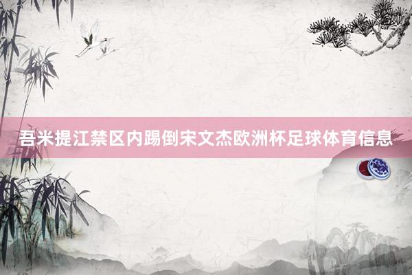 吾米提江禁区内踢倒宋文杰欧洲杯足球体育信息