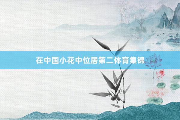 在中国小花中位居第二体育集锦