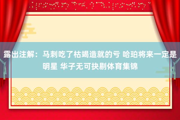 露出注解:马刺吃了枯竭造就的亏 哈珀将来一定是明星 华子无可抉剔体育集锦