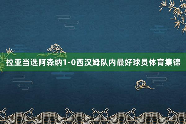 拉亚当选阿森纳1-0西汉姆队内最好球员体育集锦