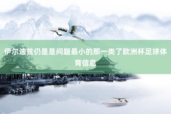 伊尔迪兹仍是是问题最小的那一类了欧洲杯足球体育信息