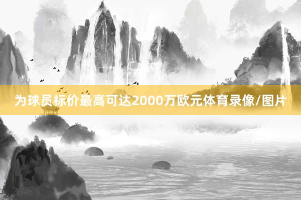 为球员标价最高可达2000万欧元体育录像/图片