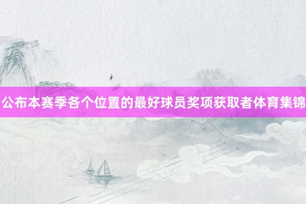 公布本赛季各个位置的最好球员奖项获取者体育集锦