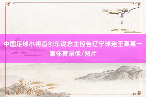 中国足球小将首创东说念主控告辽宁球迷王某某一案体育录像/图片