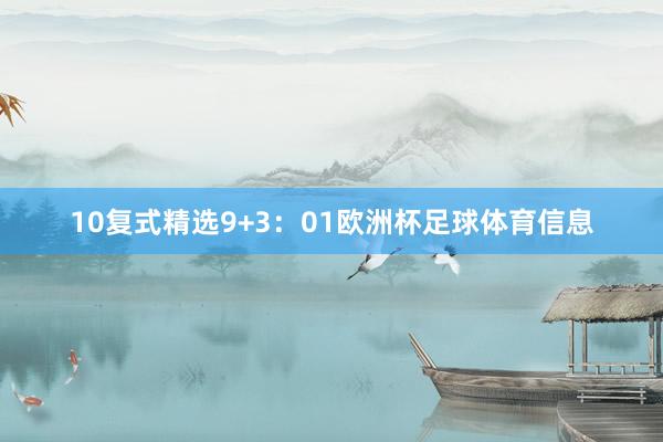 10　　复式精选9+3：01欧洲杯足球体育信息