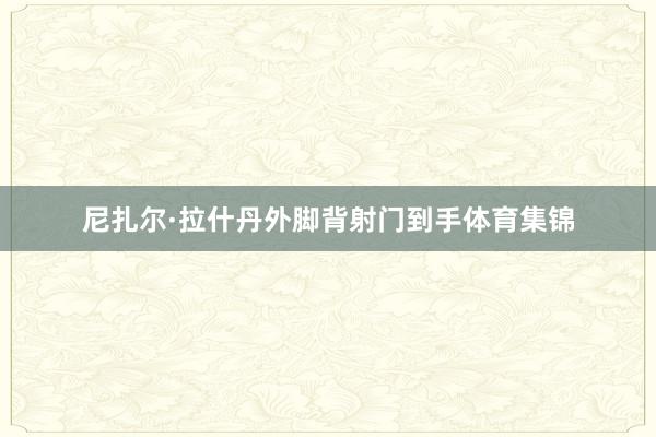 尼扎尔·拉什丹外脚背射门到手体育集锦