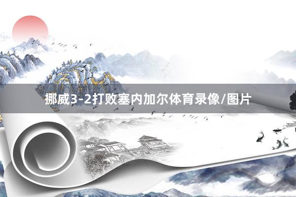 挪威3-2打败塞内加尔体育录像/图片